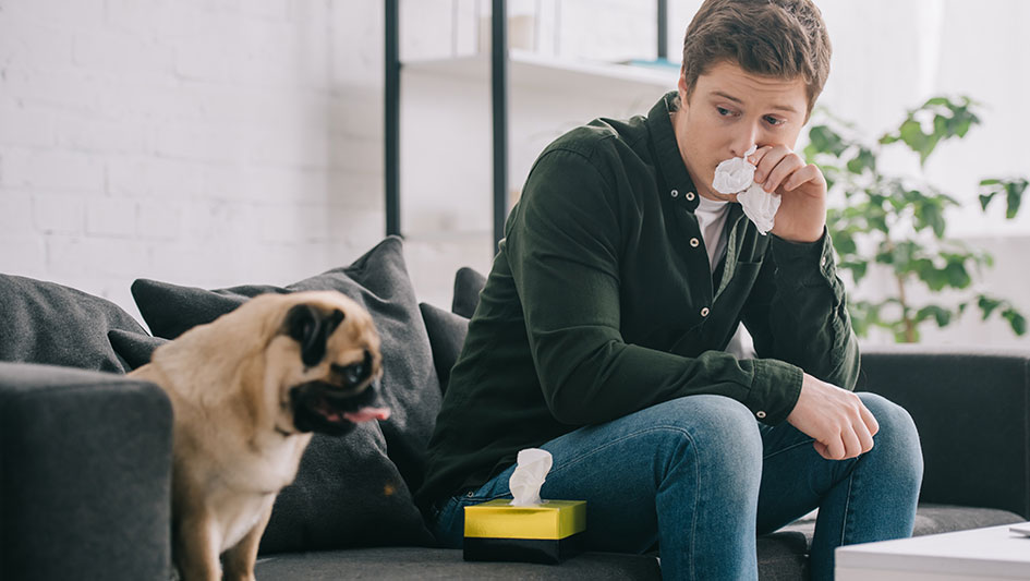 Installing an air purifier is one of the best ways to boost your house’s indoor air quality. Discover more about the three smartest options. 